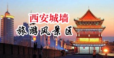 京东传媒影业密友第一集中国陕西-西安城墙旅游风景区