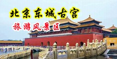 熟女www91中国北京-东城古宫旅游风景区
